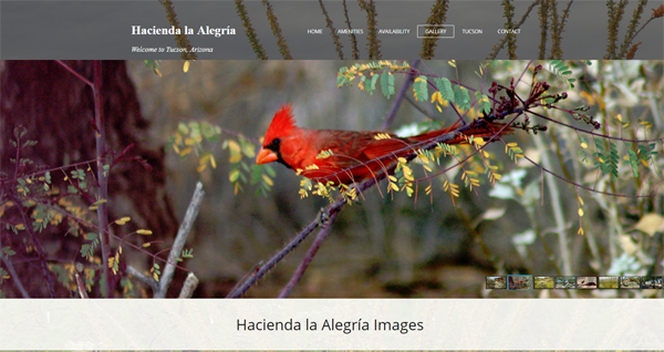 Hacienda la Alegría website image